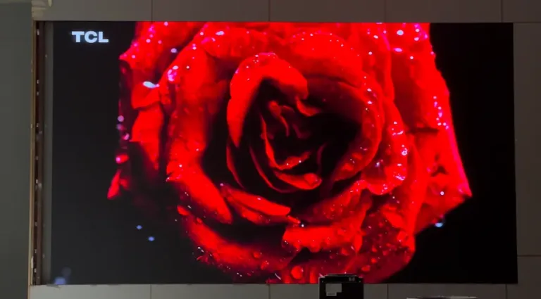 A large indoor led screen display featuring a vibrant red rose on the screen.