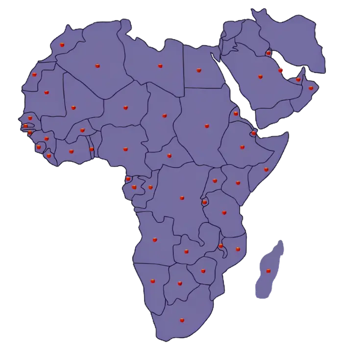 Map of the Middle East and Africa regions DGICON serves.